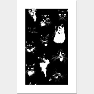 Large Black and White Cats Posters and Art